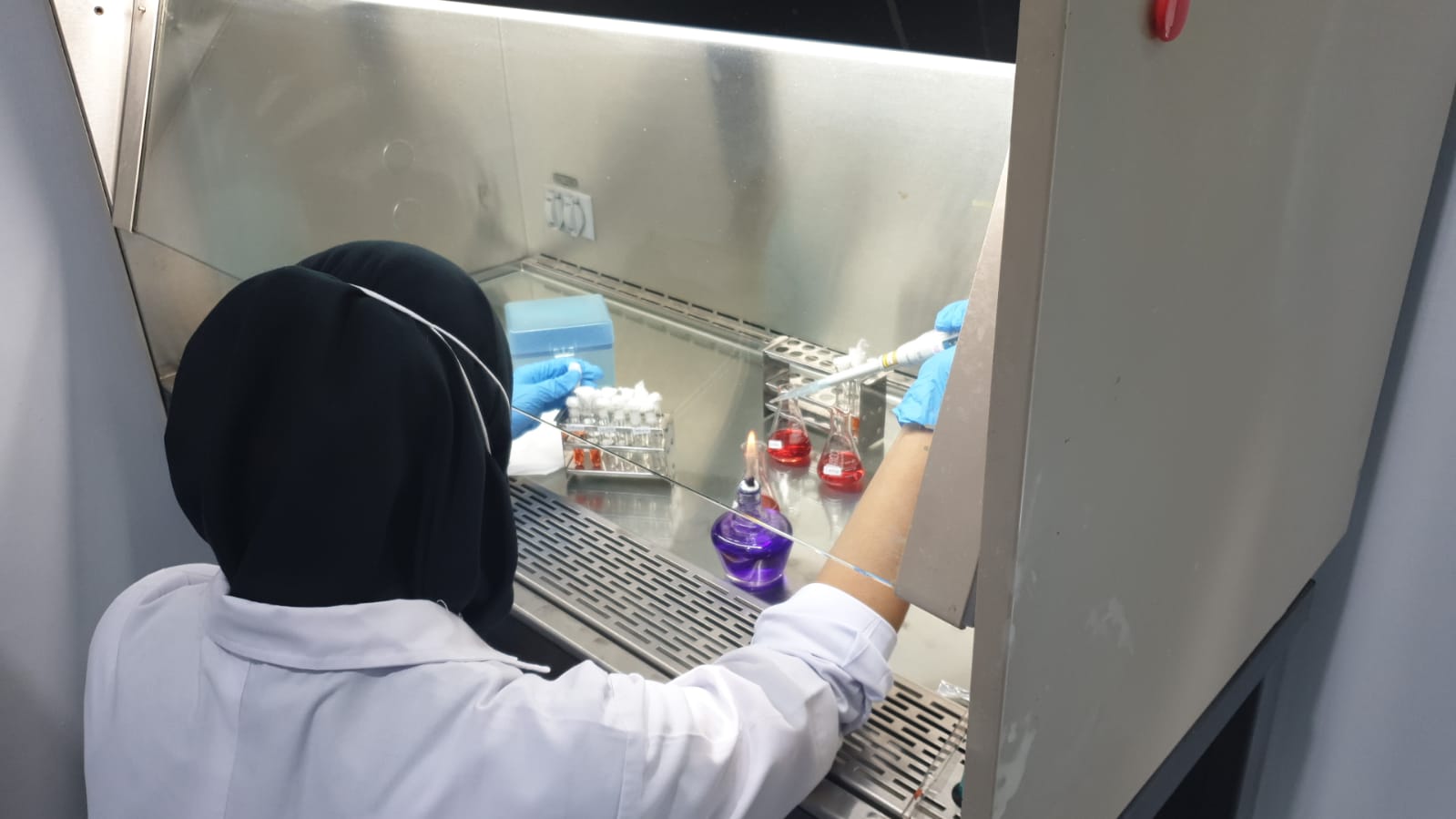 Analis Laboratorium BPPMHKP Jayapura melakukan kegiatan pembuatan media uji lanjut biokimia pada pengujian salmonella