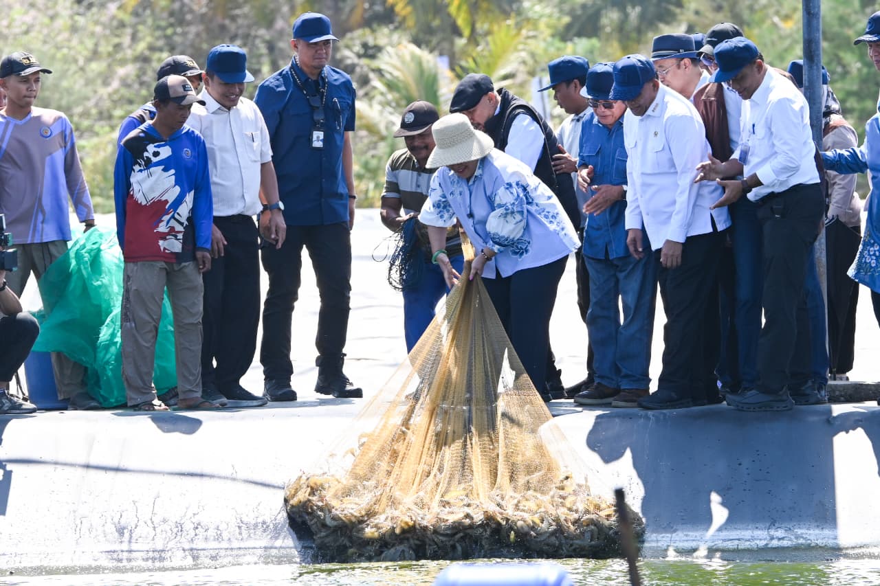 Dapat Apresiasi Komisi IV, Panen Udang Siklus Ke-8 BUBK Kebumen Diproyeksikan Capai 254,5 Ton