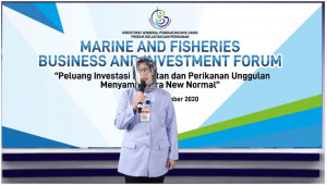 Investor Mulai Lirik Peluang Usaha Budidaya dan Pengolahan Ikan di Indonesia