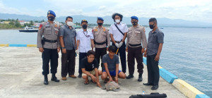 KKP Bersama Ditpolairud Polda Sulteng Lepasliarkan Penyu Hijau Hasil Tangkap Tangan di Teluk Palu