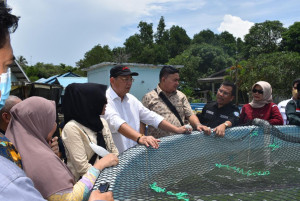 KKP Gencarkan Quality Assurance Benih Ikan untuk Dongkrak Produktivitas Pembudidaya