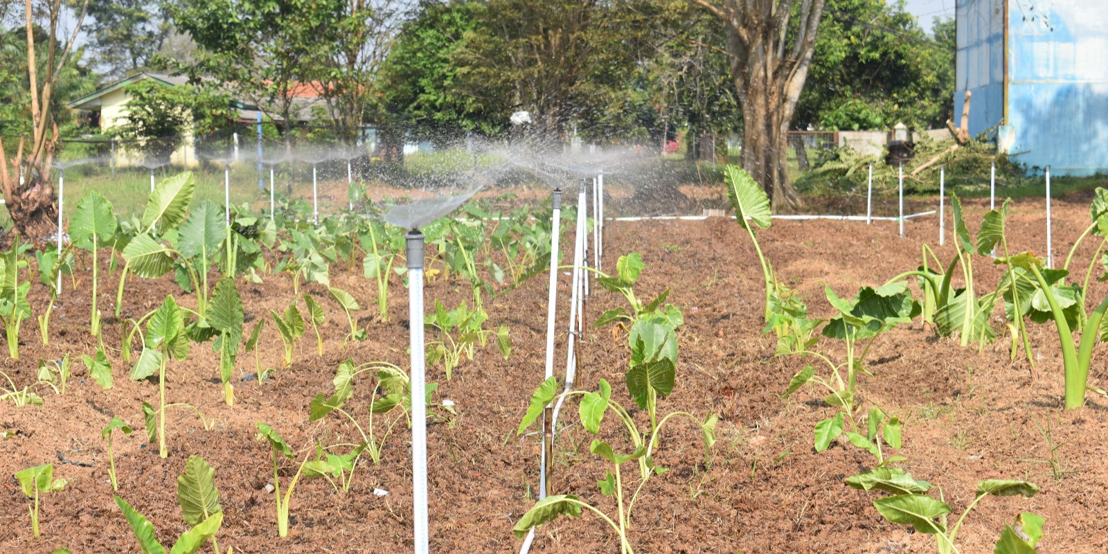 KKP Kembangkan Produktivitas Perikanan dengan One Stop Aquaculture SFV