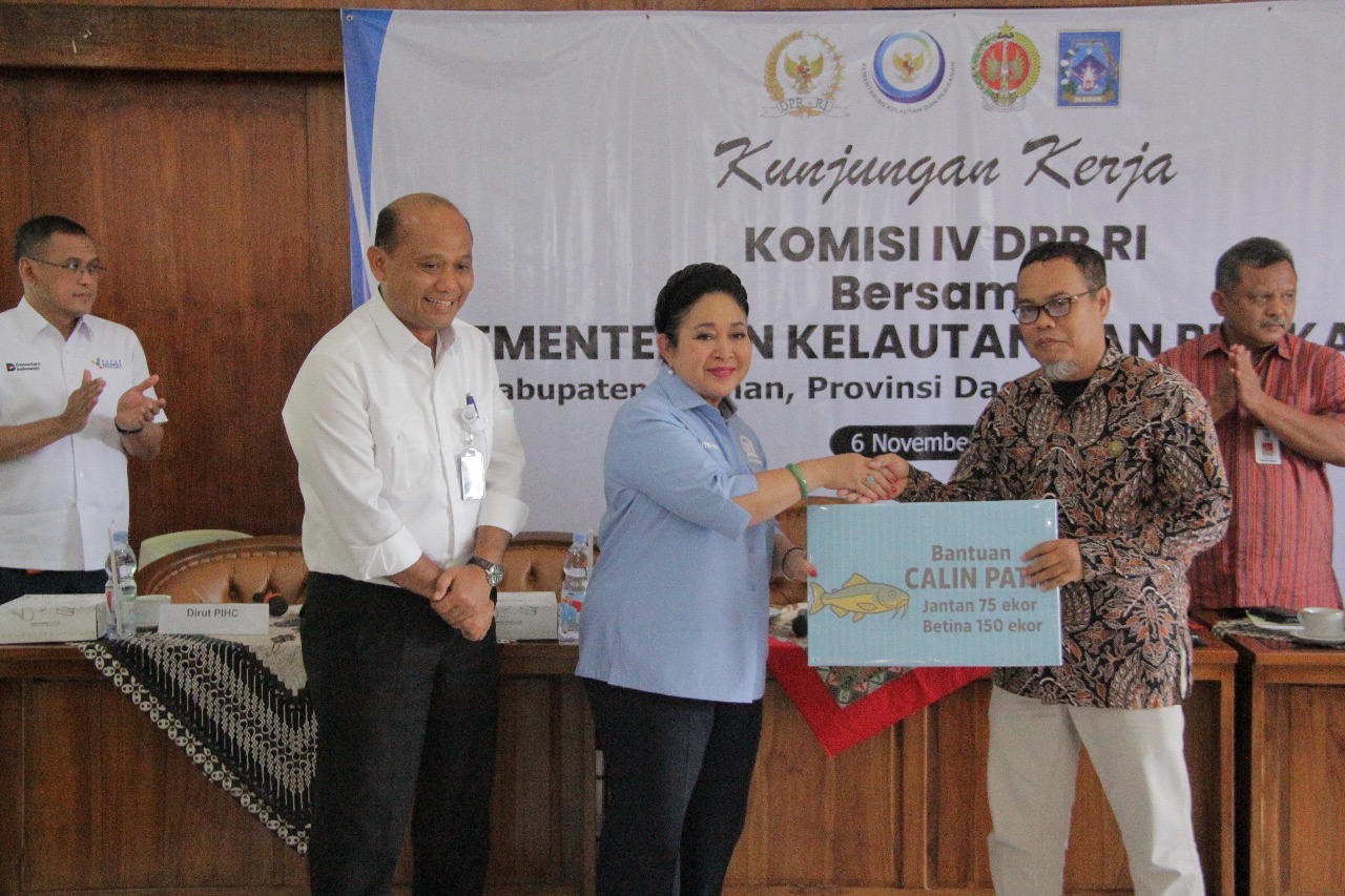 KKP - Komisi IV DPR Sokong Produktivitas Benih Ikan Unggul untuk Swasembada Pangan