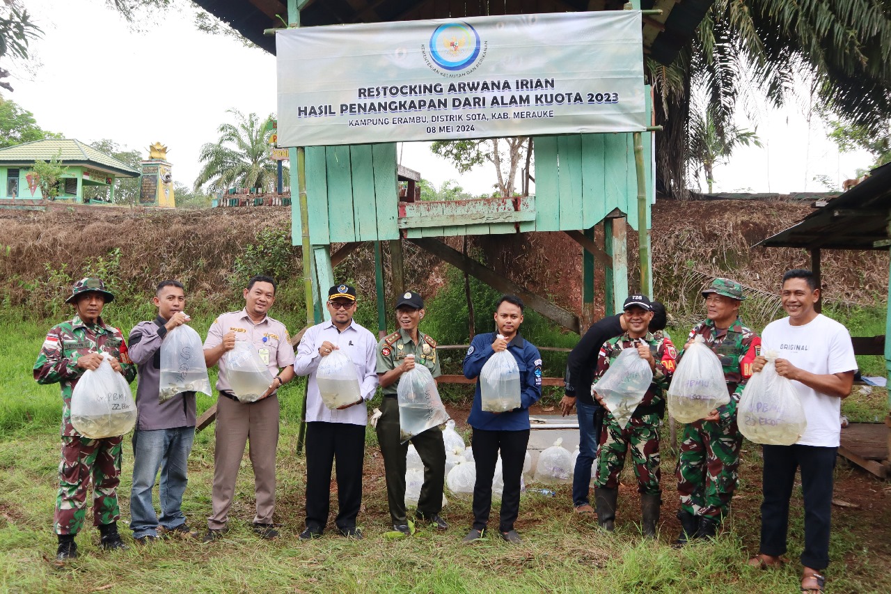 KKP Lepasliarkan Ratusan Arwana Irian di Merauke