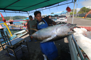 KKP Pastikan PNBP Perikanan untuk Percepat Pembangunan Sektor KP dan Kesejahteraan Nelayan
