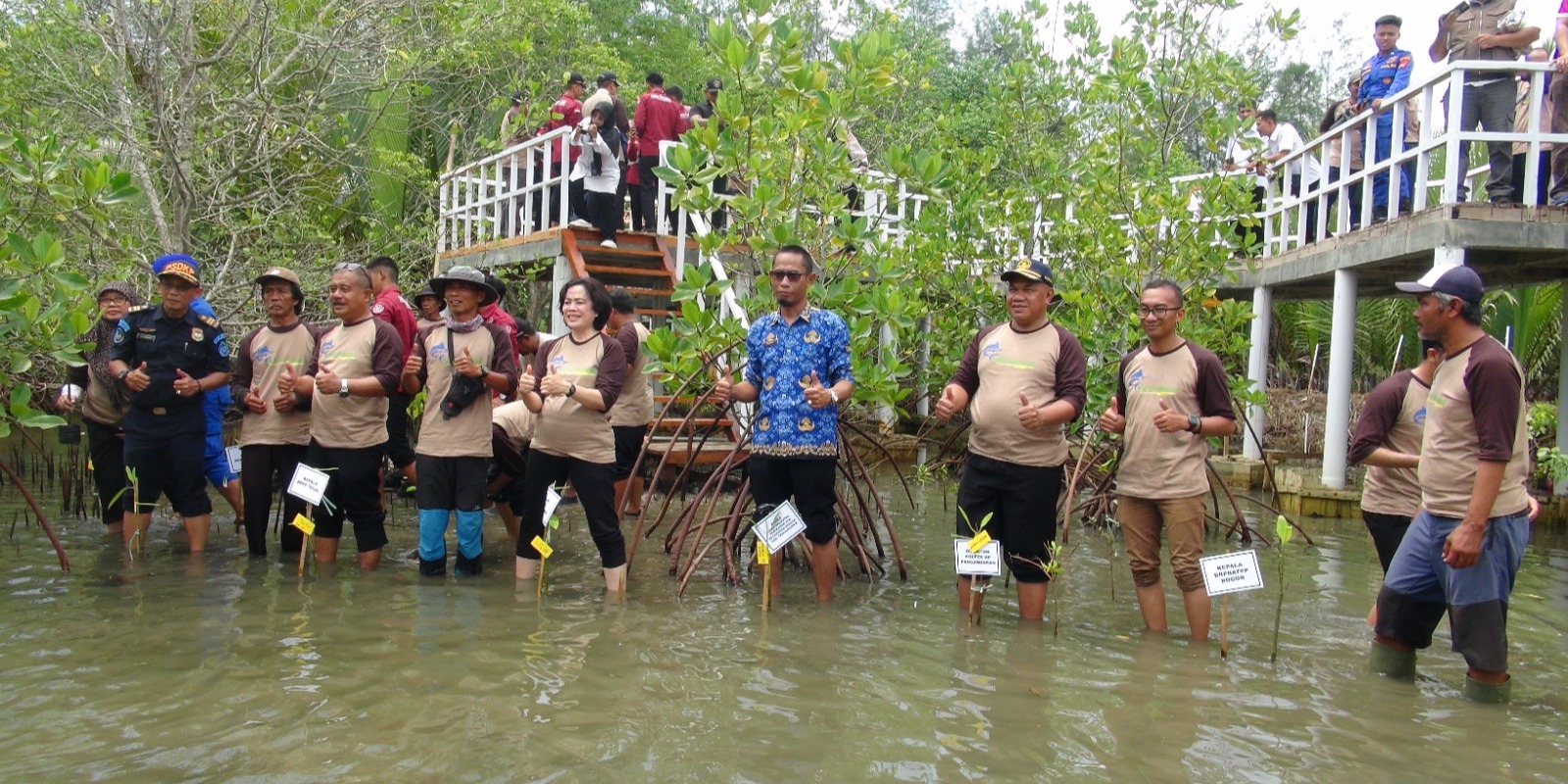 KKP Ragamkan Potensi Mangrove di Pangandaran Jadi Lokasi Eduwisata