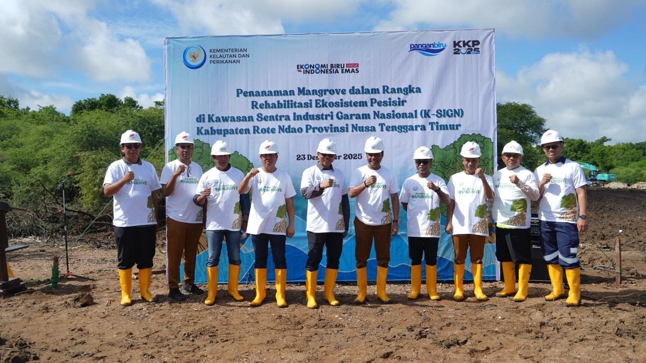 KKP Rehabilitasi Mangrove di Rote Ndao Perkuat K-SIGN