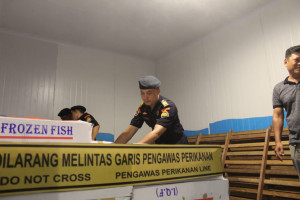 KKP Segel 9,7 Ton Ikan Salem Impor Tak Sesuai Peruntukan di Kalbar