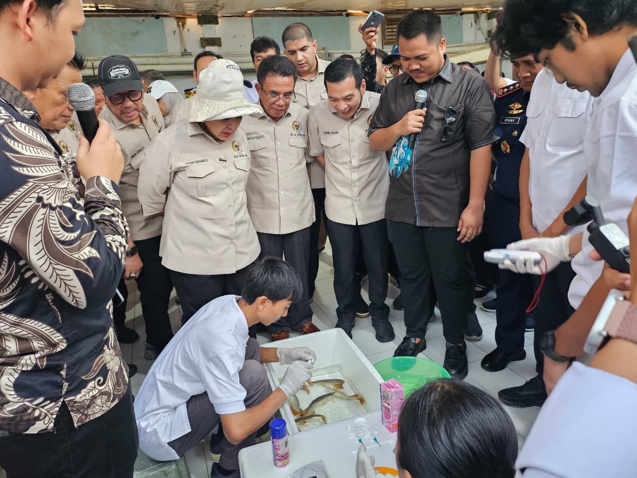 KKP Sokong Peningkatan Ekspor Arwana Super Red Kalbar untuk Perkuat Devisa