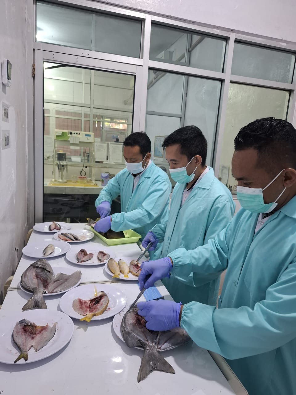 KKP Tegaskan Ikan Hasil Destructive Fishing Tak Layak Konsumsi
