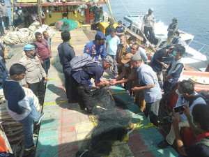 KKP Tindak Tegas Kapal Ikan Asal Pantura Yang Beroperasi Ilegal di Natuna