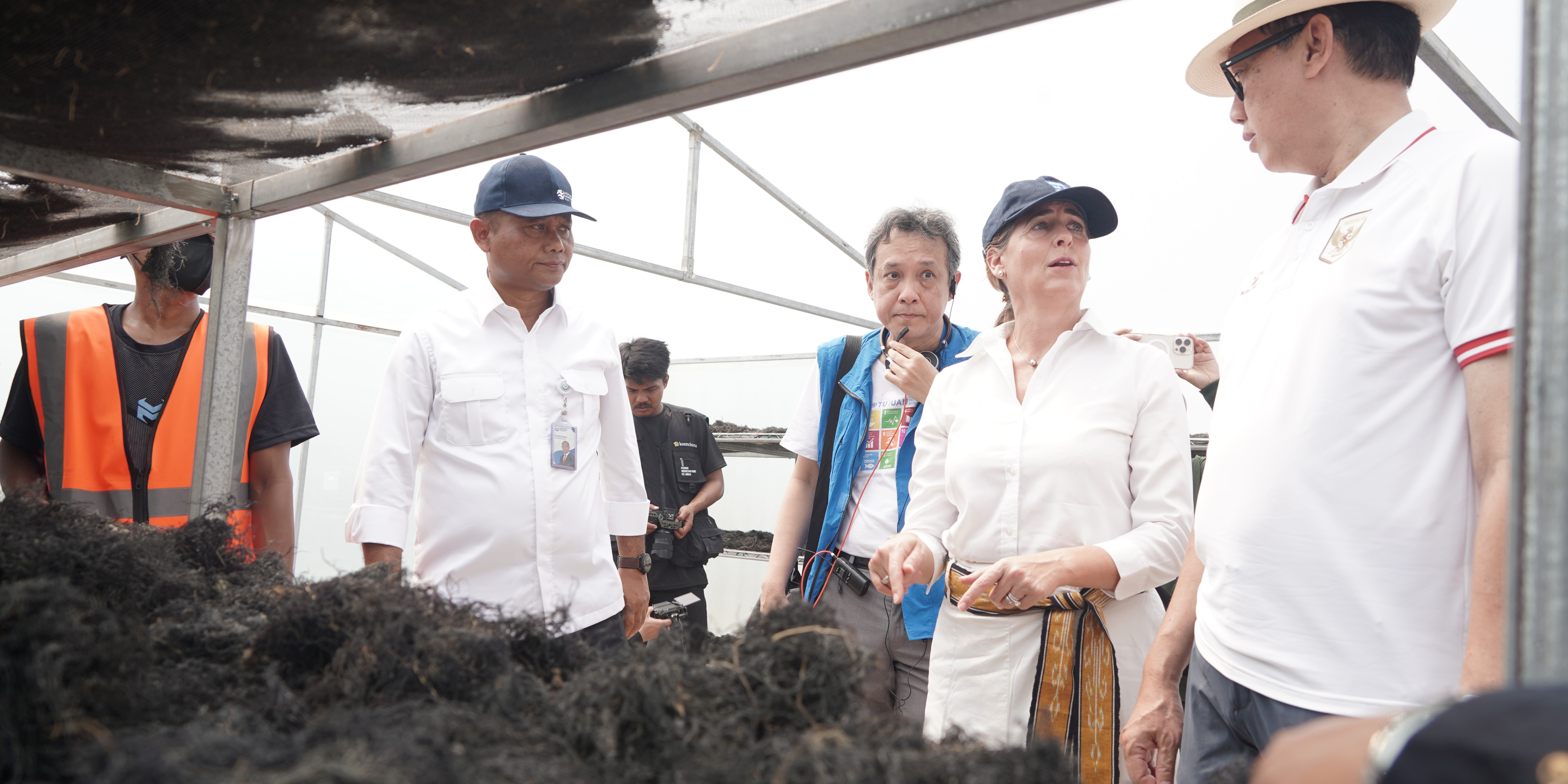 KKP – UNDP Dorong Peningkatan Produksi dan Hilirisasi Rumput Laut Gracilaria di Sidoarjo