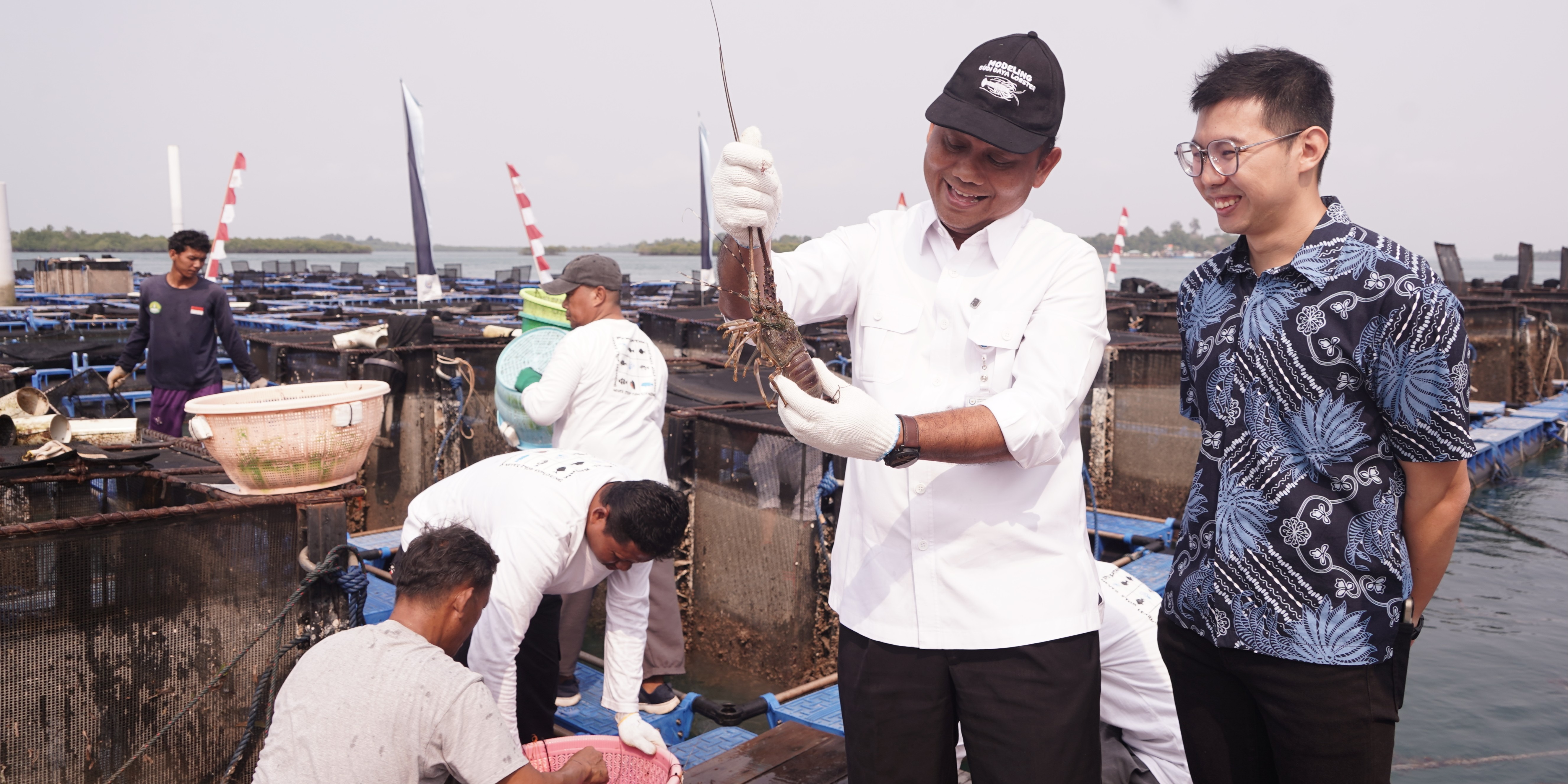 Lobster Modeling Batam Tembus Pasar Ekspor, KKP Dorong Budi Daya Nasional