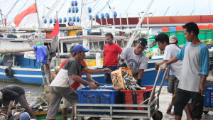 Pacu PDB Sektor Perikanan, KKP Optimalkan Pelayanan di Pelabuhan Perikanan