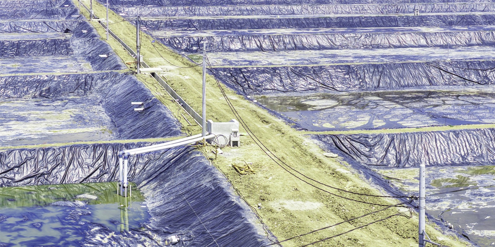 Pemasangan Tiang Listrik Pada Petakan Kolam ukuran 4000 meter persegi BINS Karawang Per 3 Desember 2025