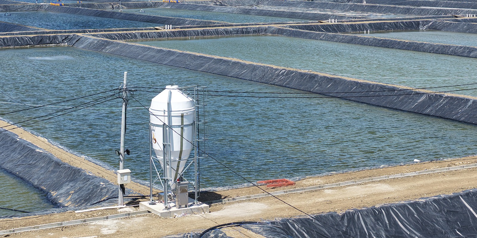 Progres Hamparan Kolam ukuran 4000 meter persegi BINS Karawang Per 18 Desember 2025