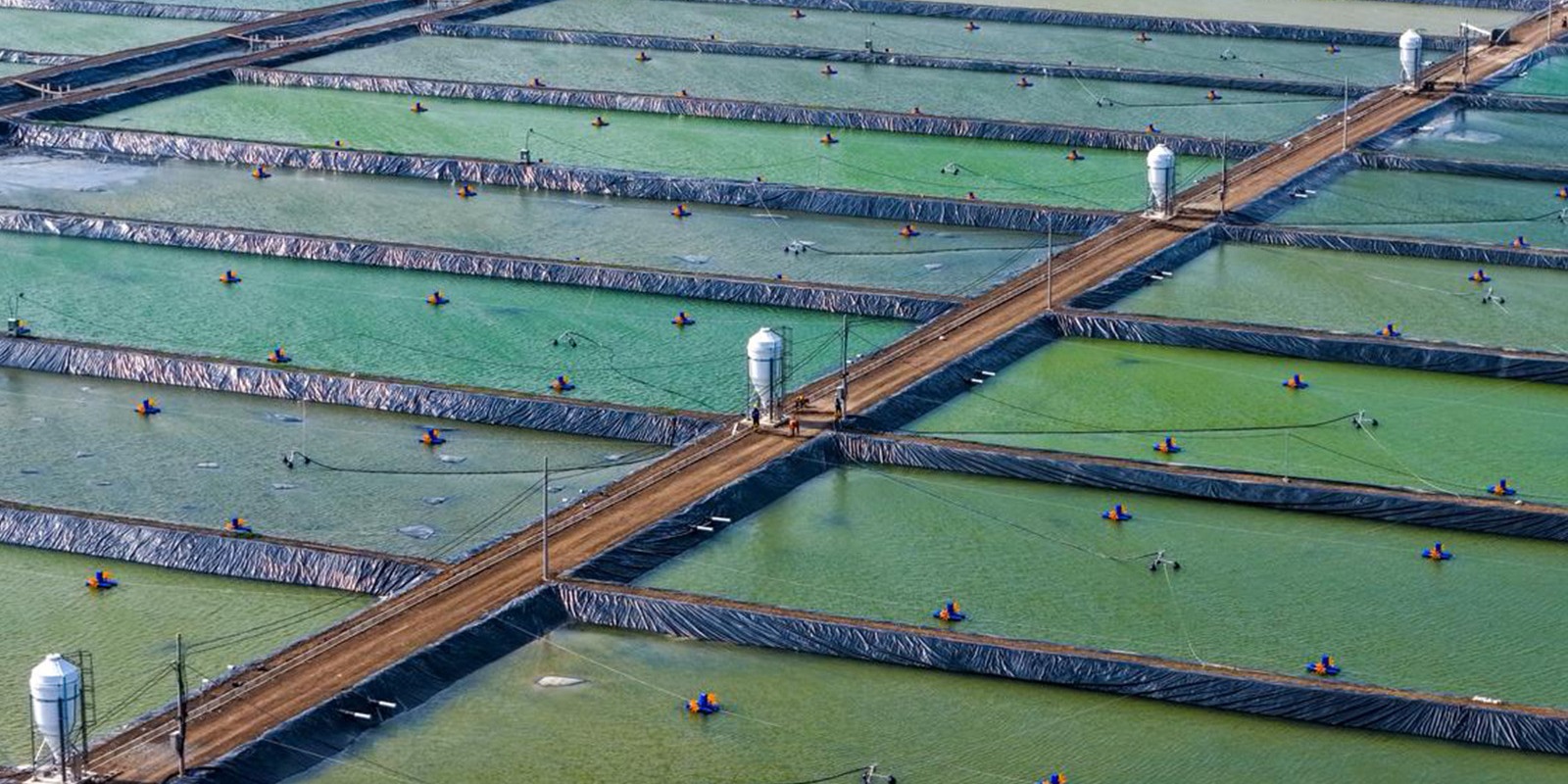 Progres Hamparan Kolam ukuran 4000 meter persegi BINS Karawang Per 24 Desember 2025