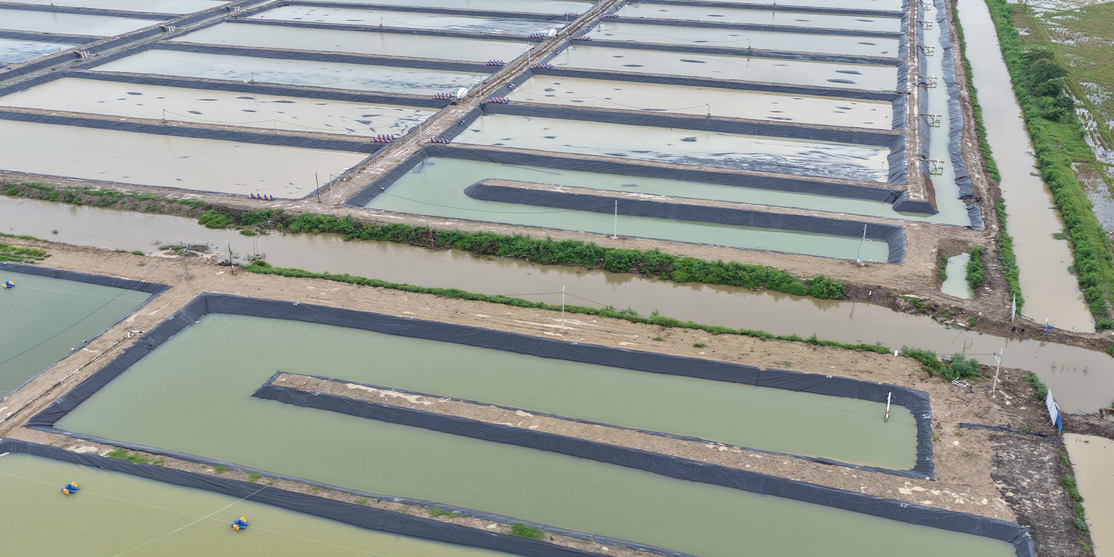 Progres Instalasi Pengolahan Air Limbah (IPAL) BINS Karawang Per 15 Januari 2026