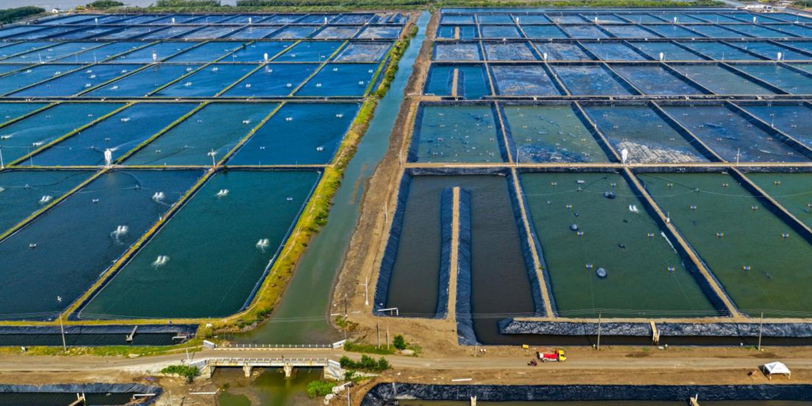 Progres Instalasi Pengolahan Air Limbah (IPAL) BINS Karawang Per 24 Desember 2025
