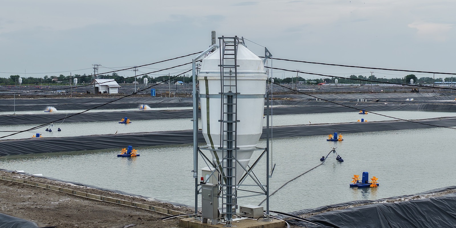 Progres Pemasangan Automatic Feeder Pada Petakan Kolam ukuran 4000 meter persegi BINS Karawang Per 15 Januari 2026
