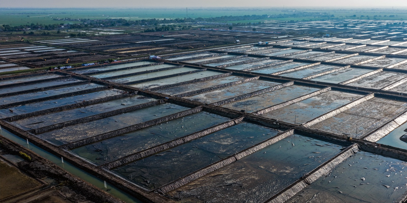 Progres Pemasangan Geomembran Kolam ukuran 4000 meter persegi BINS Karawang Per  31 Oktober 2025