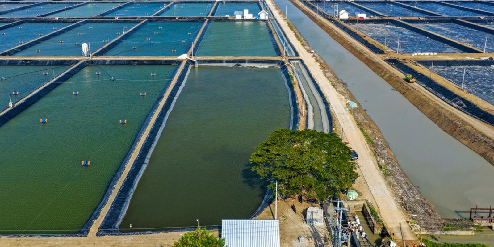 Progres Tandon BINS Karawang Per 24 Desember 2025