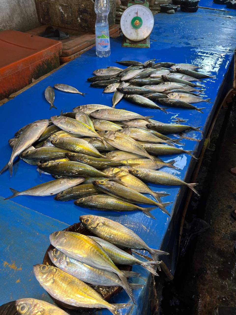 Saatnya Jadi Konsumen yang Sadar Mutu Ikan