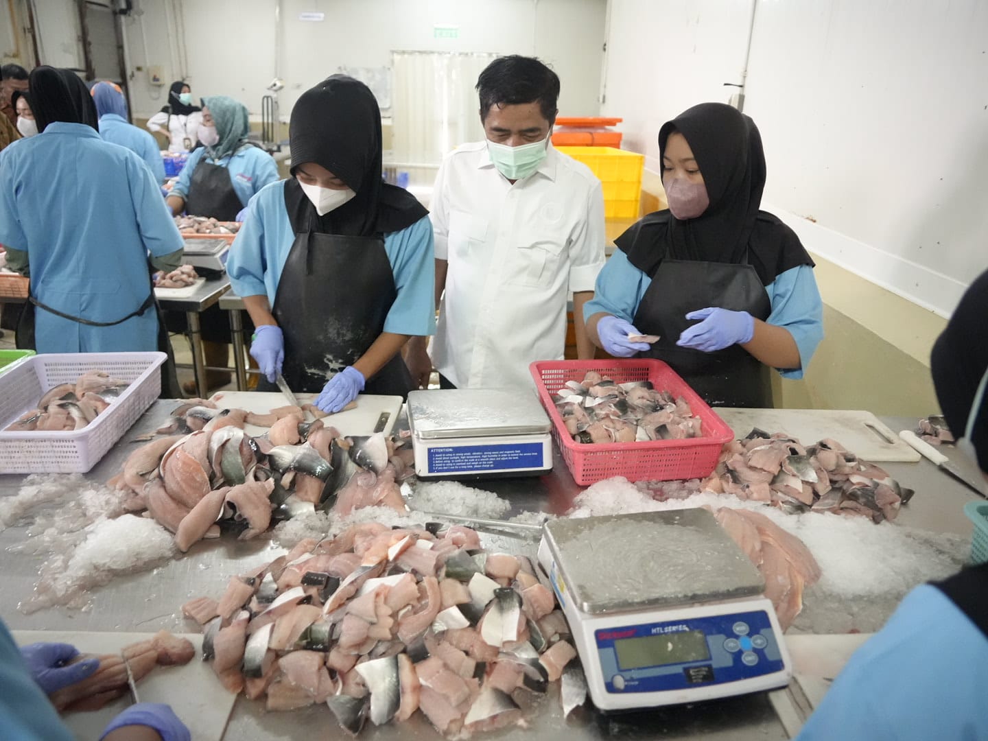 Sistem Rantai Dingin Jamin Ikan yang Dipasok ke Dapur MBG Berkualitas