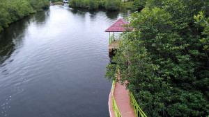 Taman Mangrove Pulo Tabek, Daya Tarik Wisata Baru di Tanah Singkil