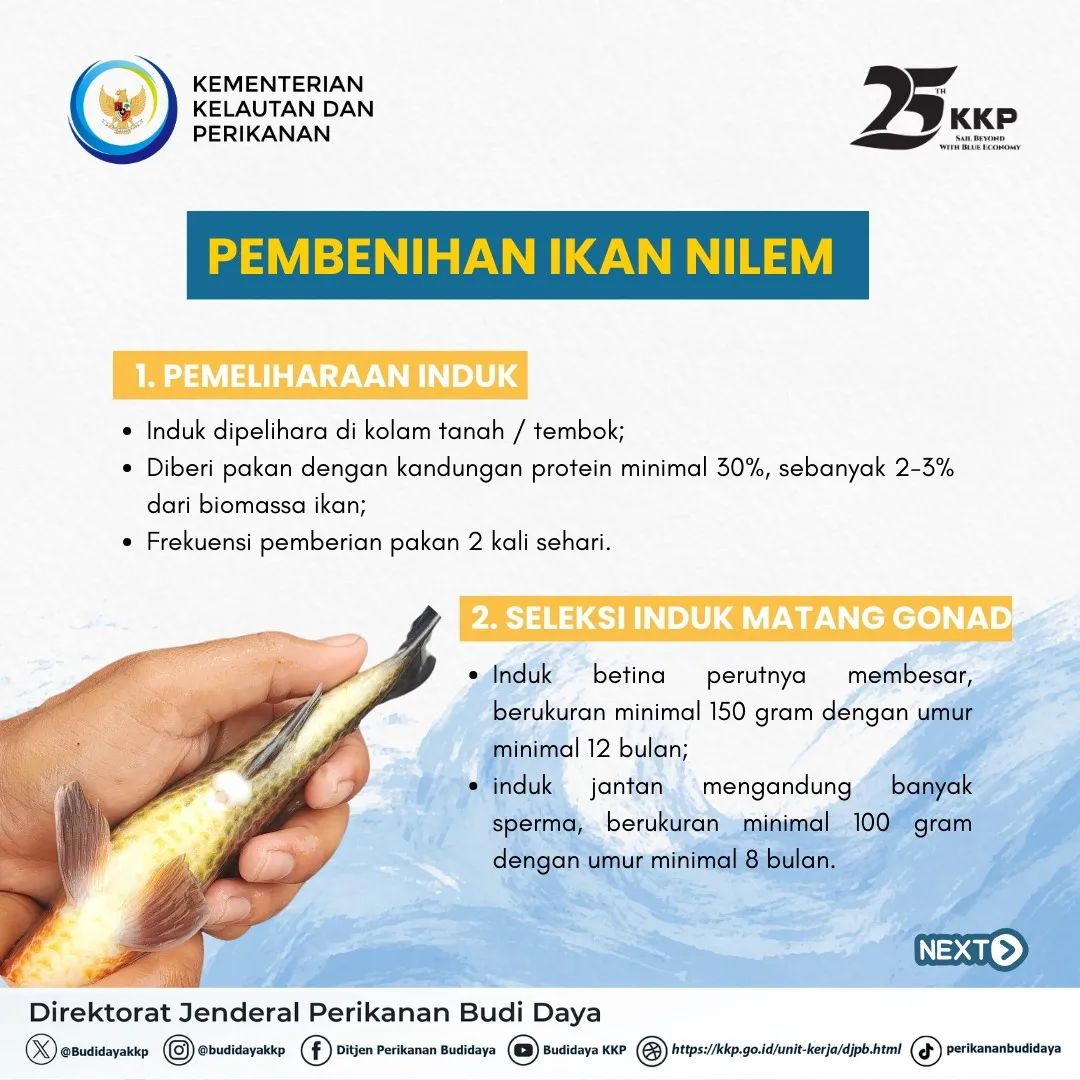 Direktorat Jenderal Perikanan Budi Daya | KKP | Kementerian Kelautan ...