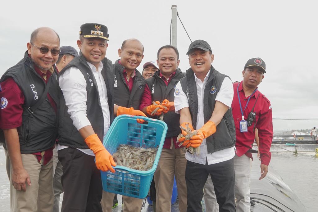 Menteri Trenggono melihat langsung masa panen tambak budidaya udang berbasis kawasan (BUBK) di Kebumen, Jawa Tengah