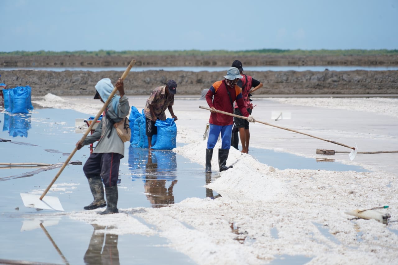 Menteri Trenggono tiba di Kupang, Nusa Tenggara Timur untuk meninjau tambak garam masyarakat yang ada di Desa Merdeka dan Desa Oeteta