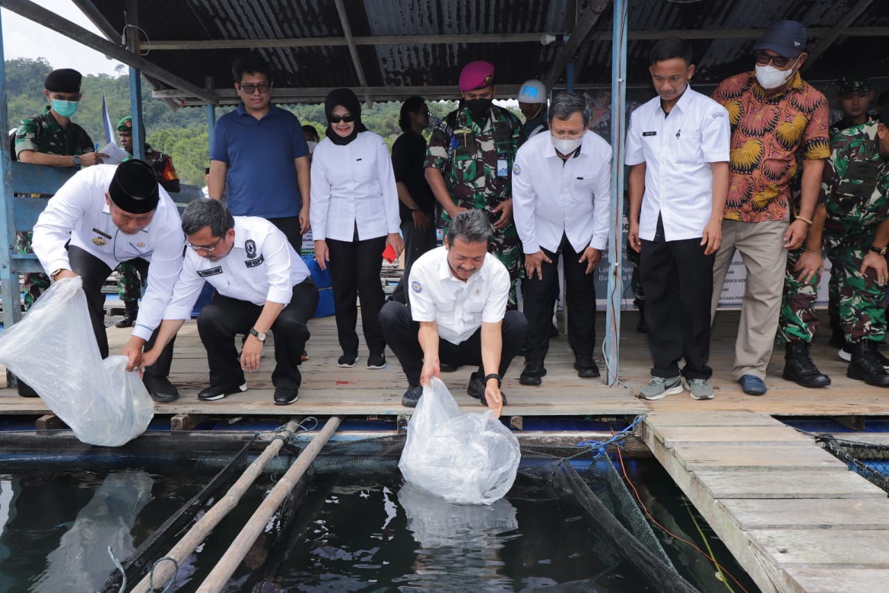 Menteri Trenggono menyiapkan kerapu sebagai komoditas unggulan ekspor perikanan Anambas karena potensinya yang sangat besar.