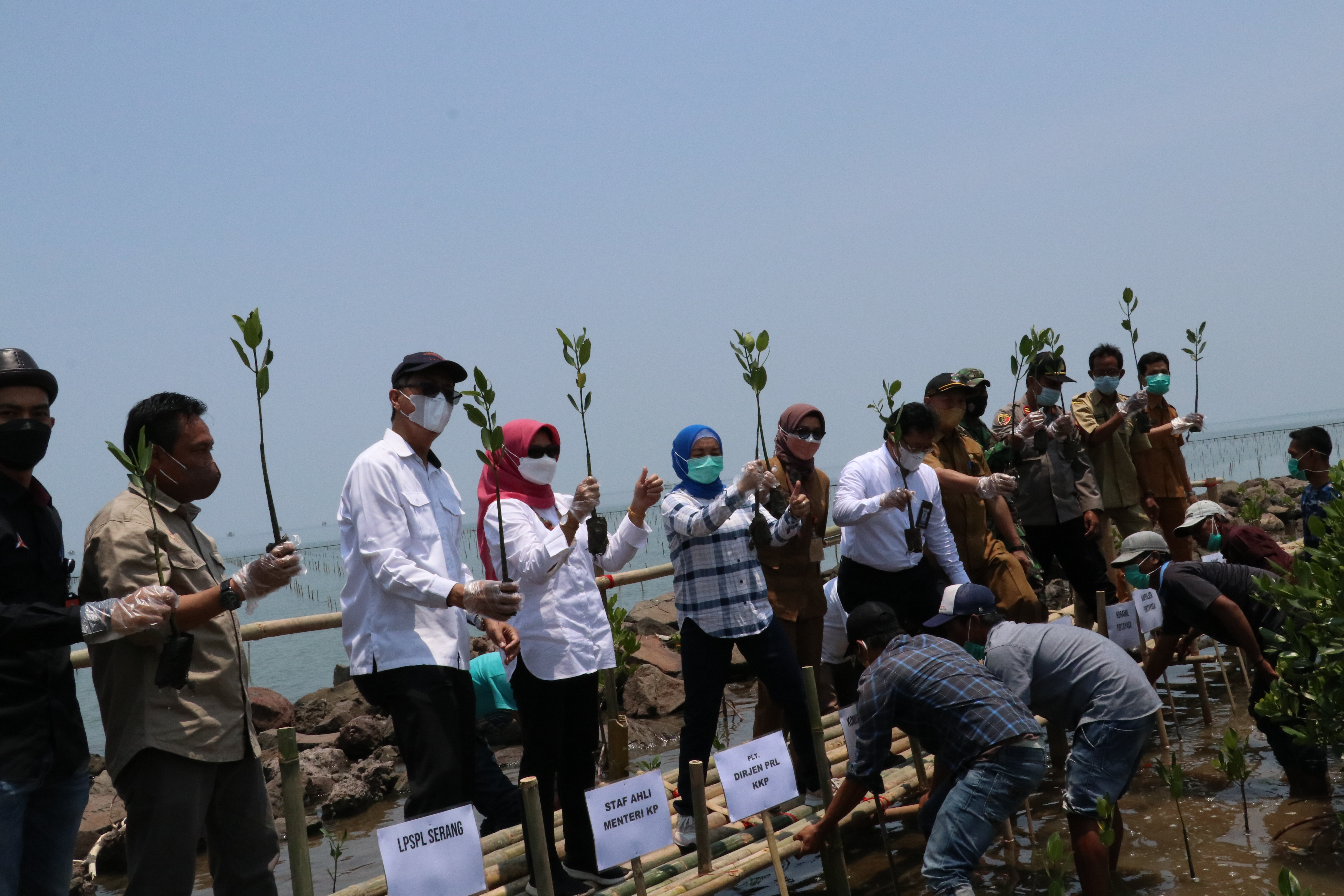 Launching Penanaman mangrove di Desa Lontar, Kec. Tirtayasa, Kab. Serang (12/10)