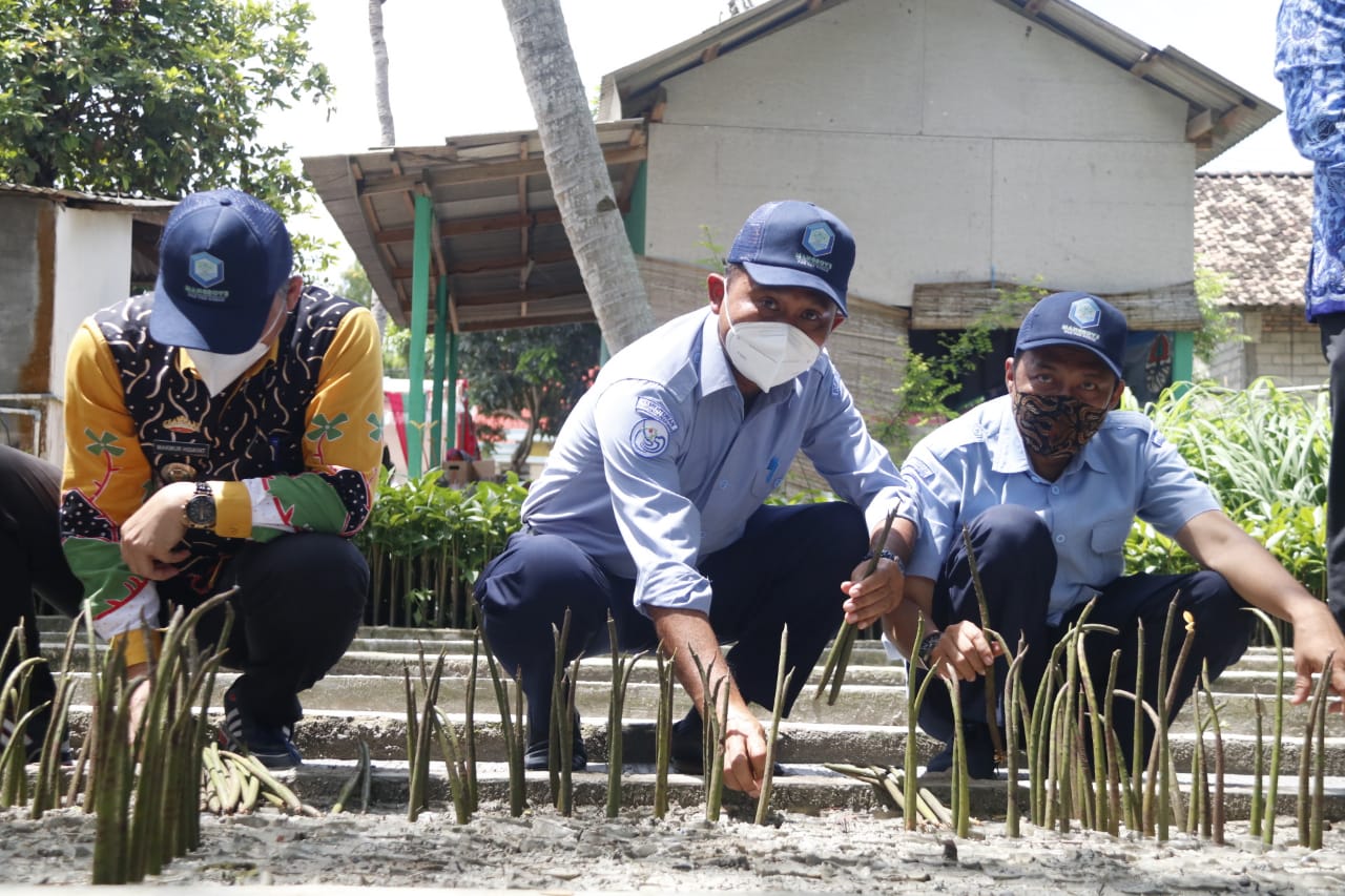 Kunker Plt. Dirjen PRL Ke Lokasi Penanaman Mangrove Di Lampung (17/12)