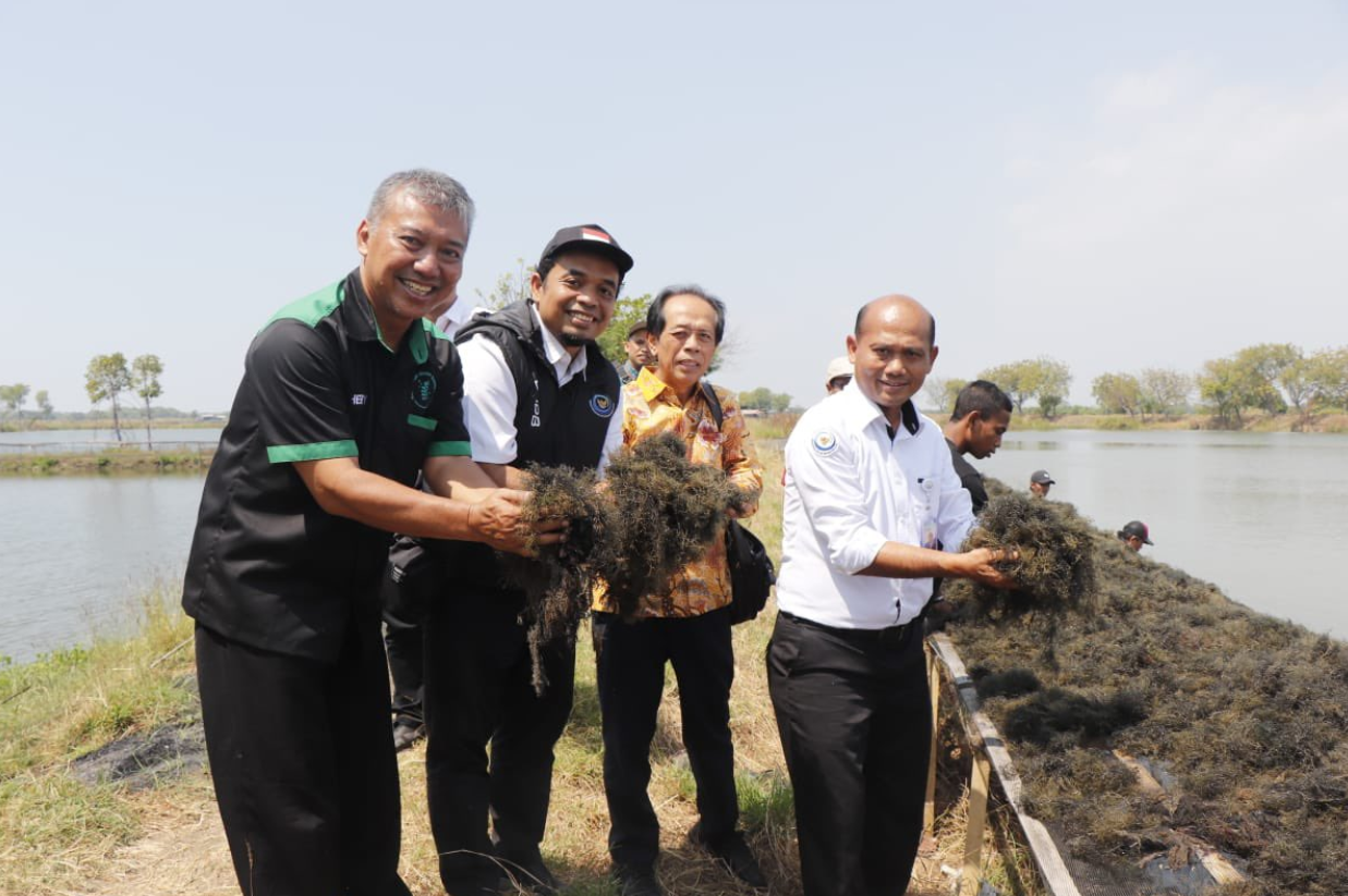 Ekspor Perdana Produk Kampung Budidaya Rumput Laut Sidoarjo