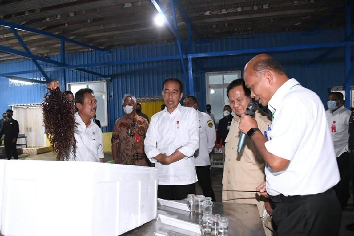 Kunjungan Kerja Presiden RI dan Menteri Kelautan dan Perikanan di Kota Tual, Provinsi Maluku