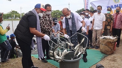 Dirjen PB mencanangkan kampung perikanan budidaya ikan bandeng di Kab. Gresik (27/03/22)