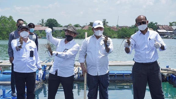 Dirjen PB meresmikan kampung perikanan budidaya lobster di Kab. Lombok Timur (26/03/22)