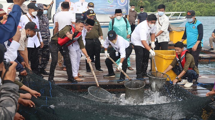 Dirjen PB melakukan panen ikan bawal bintang bersama Gubernur Kep. Riau (13/11/21)