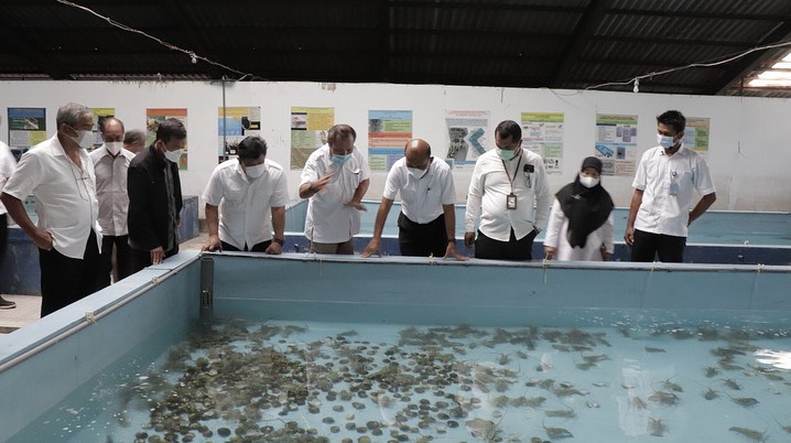 Dirjen PB melakukan peninjauan Tambak Shrimp Farming di BPBAP Situbondo (30/10/21)
