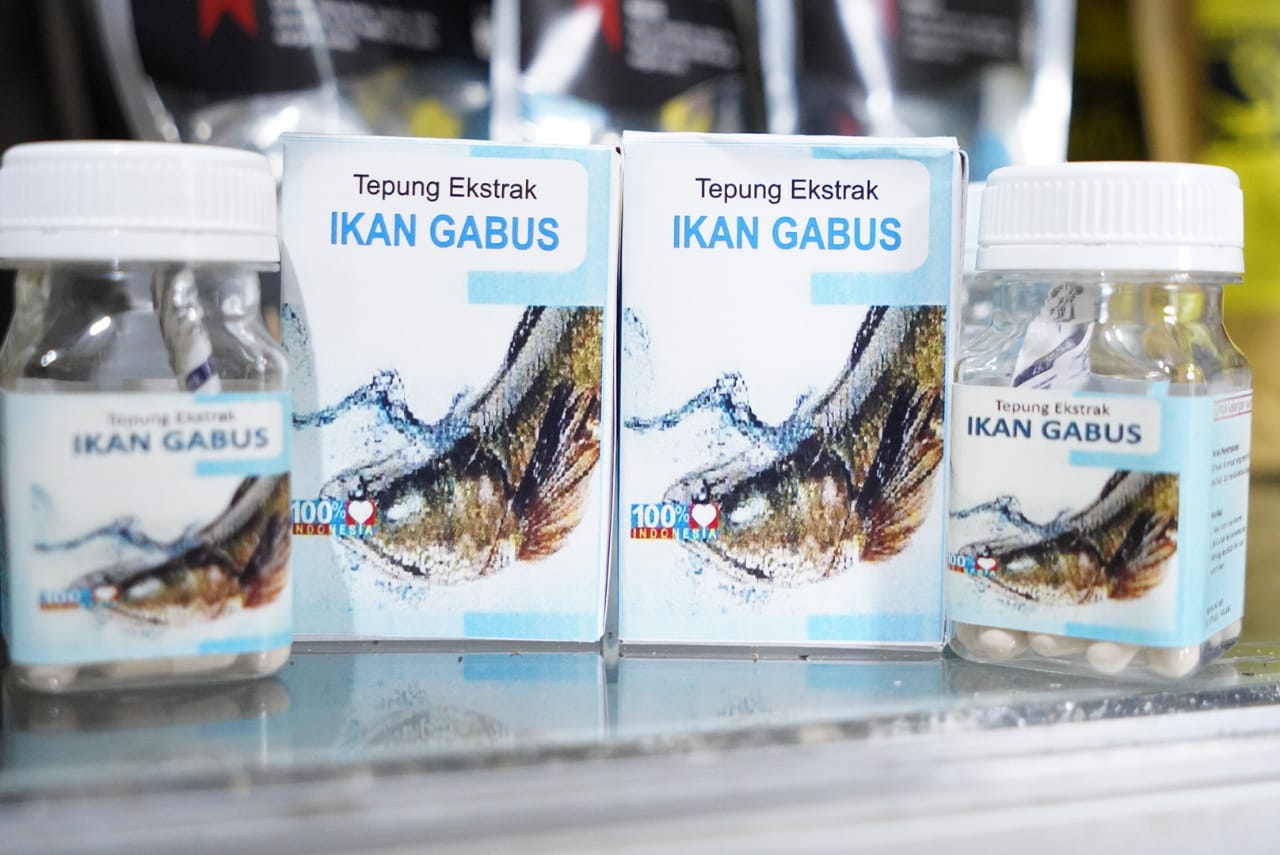 Striata Grup Kota Malang Kembangkan Pengolahan Ikan Gabus Prinsip Zero Waste