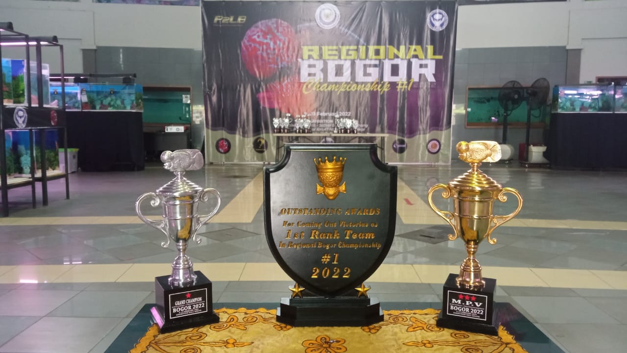 Kontes Ikan Louhan Regional Bogor Championship #1