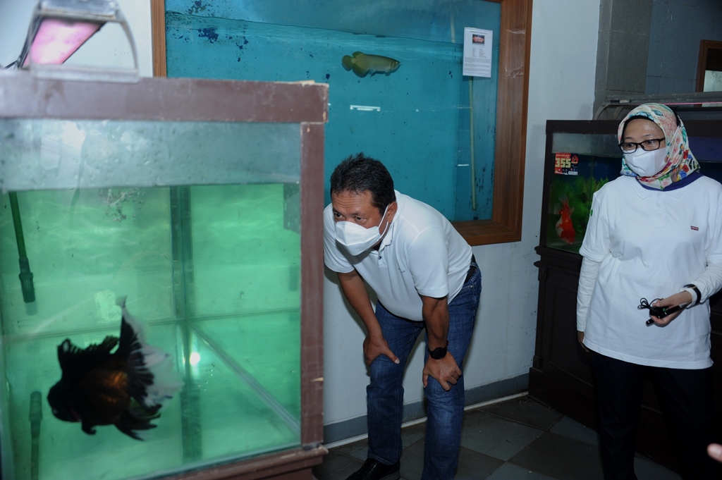 4th Indonesia Gold Fish League di Raiser Ikan Hias Satker BBP3KP Cibinong