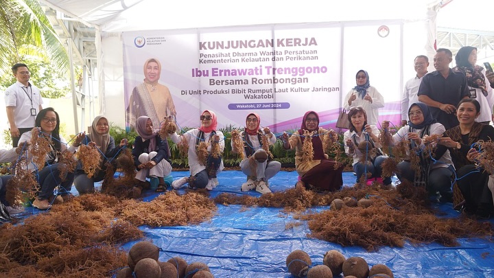 Kunjungan Penasihat Dharma Wanita Persatuan KKP bersama rombongan ke lokasi Modeling Budi Daya Rumput Laut di Wakatobi