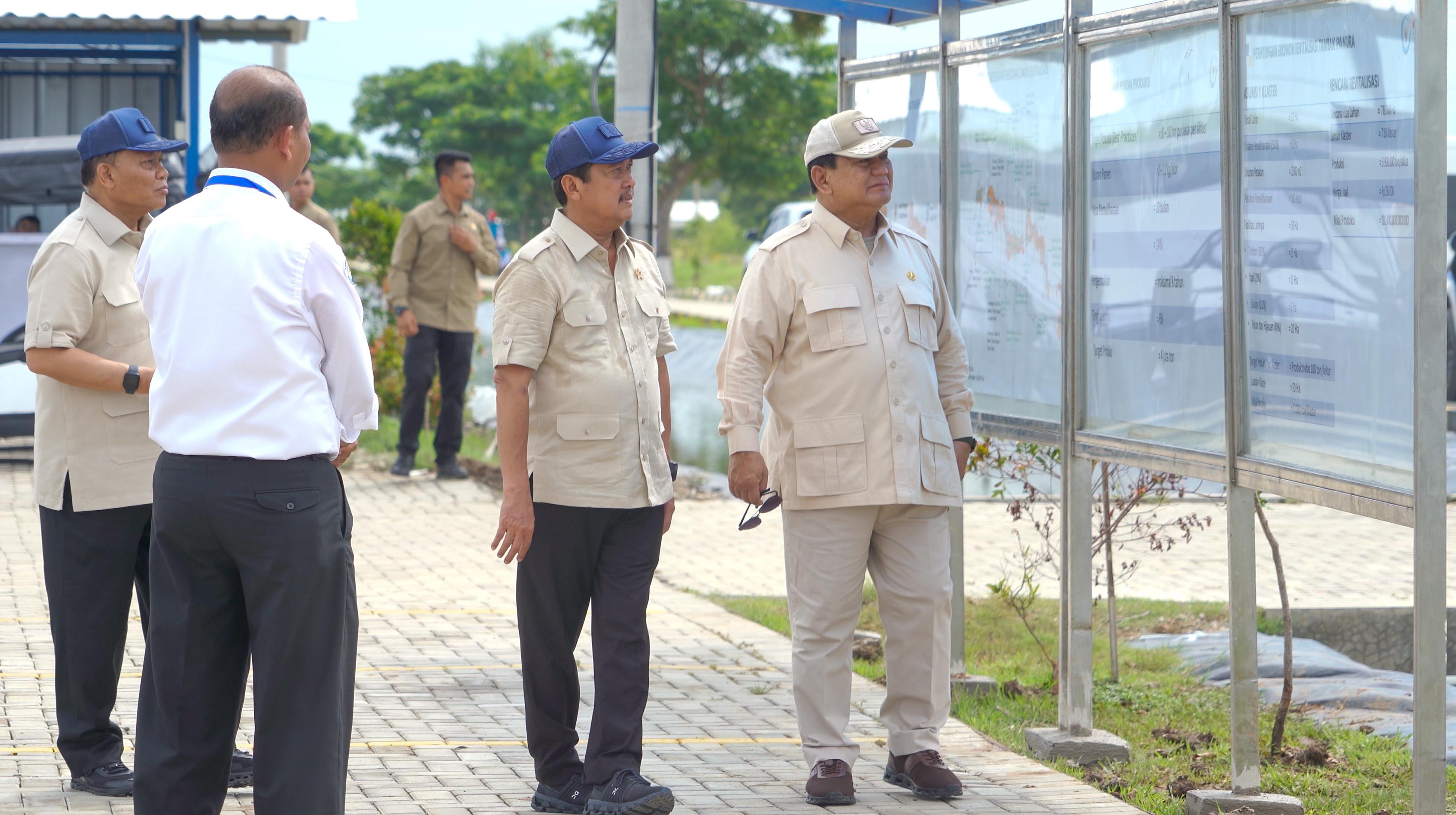 Kunjungan Kerja Presiden RI ke Modeling Tambak Budi Daya Ikan Nila Salin (BINS) di Karawang