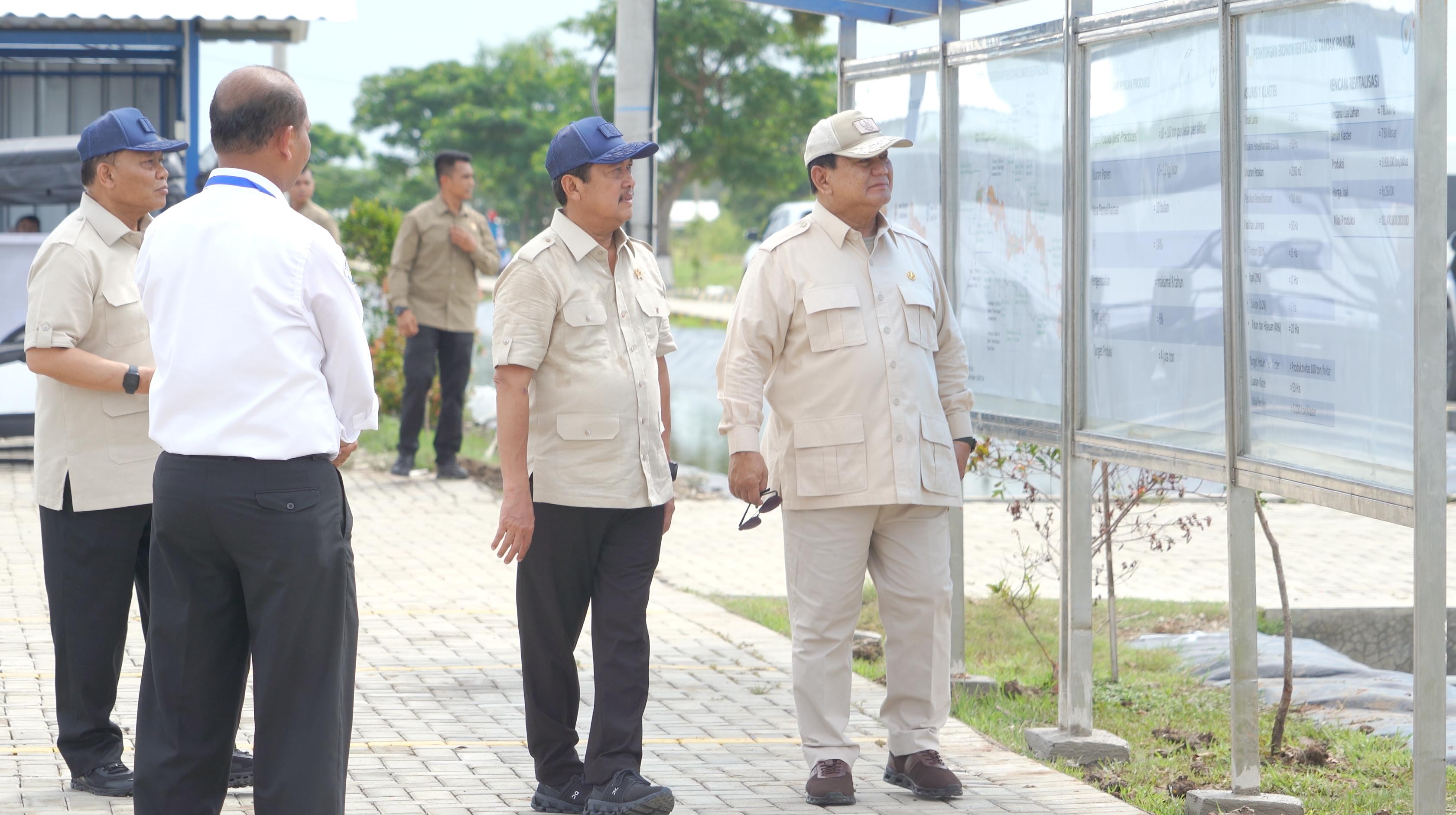 Kunjungan Kerja Presiden RI ke Modeling Tambak Budi Daya Ikan Nila Salin (BINS) di Karawang