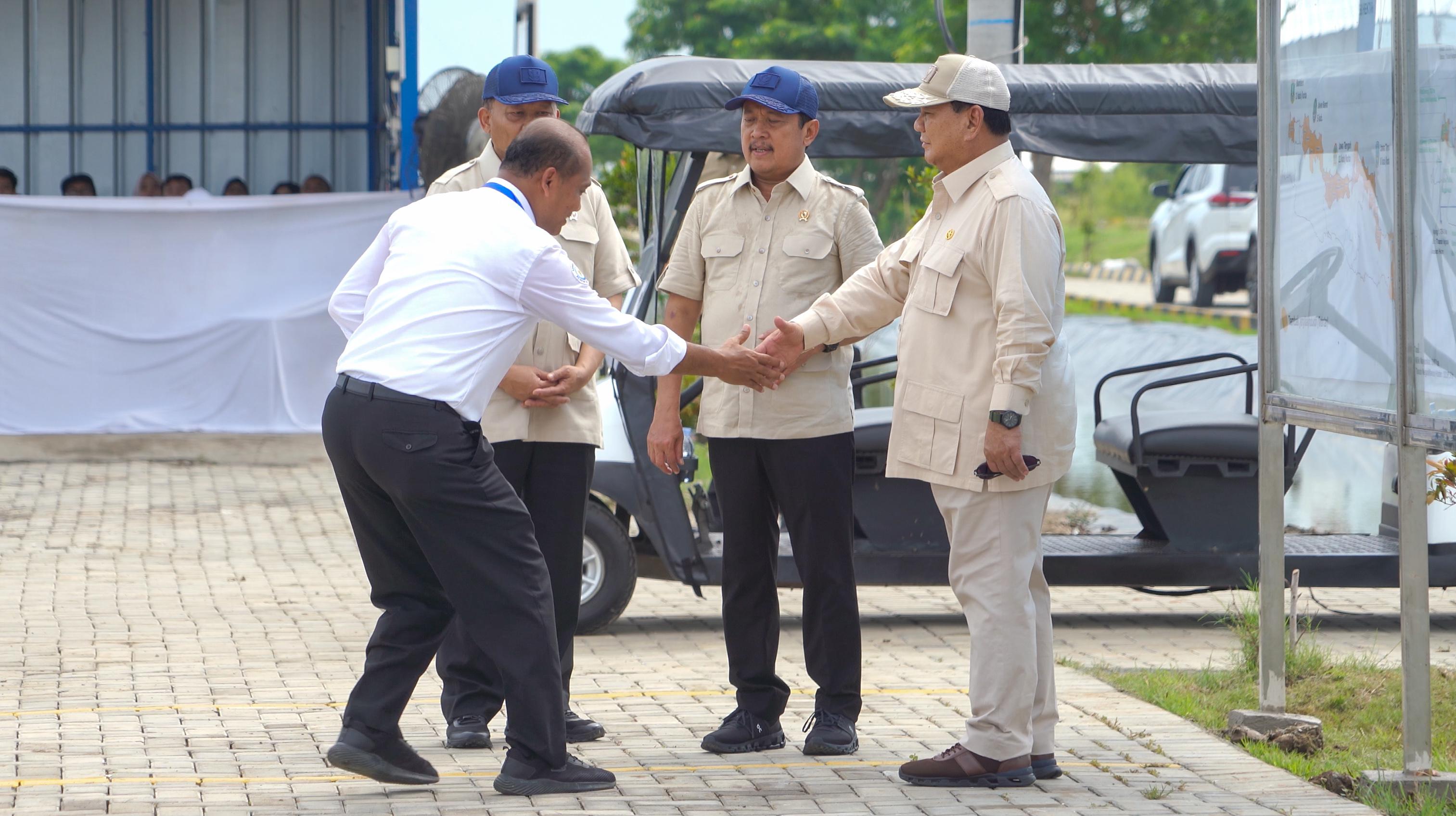 Kunjungan Kerja Presiden RI ke Modeling Tambak Budi Daya Ikan Nila Salin (BINS) di Karawang