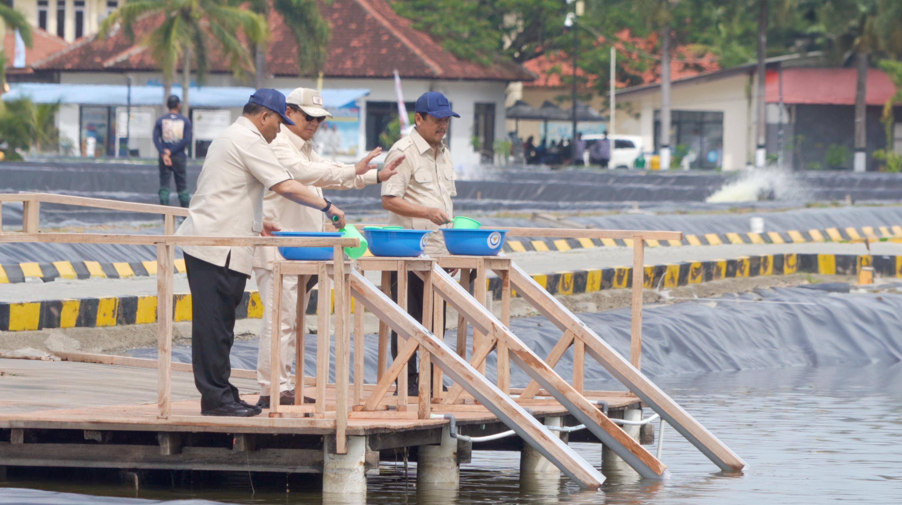 Kunjungan Kerja Presiden RI ke Modeling Tambak Budi Daya Ikan Nila Salin (BINS) di Karawang