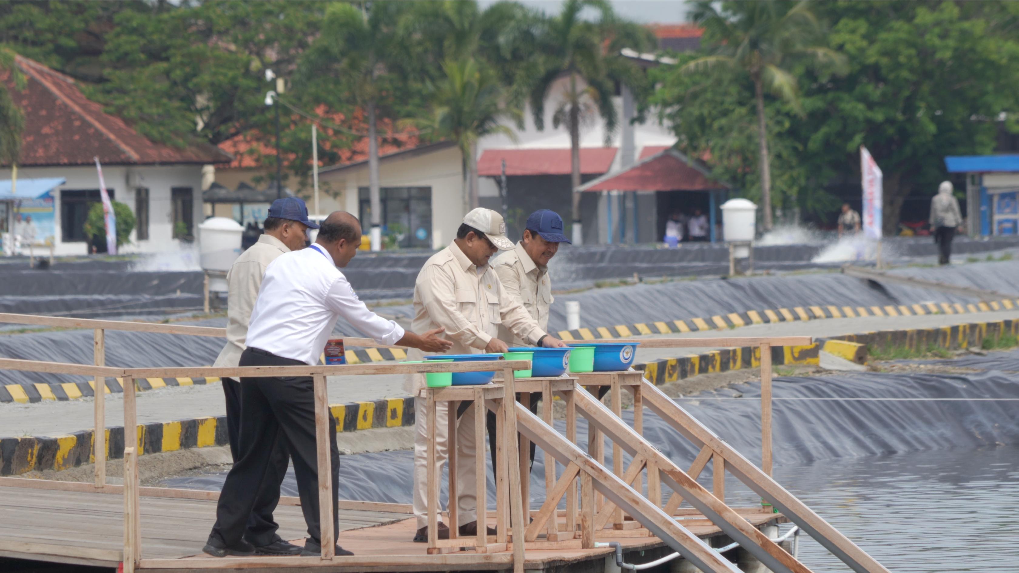 Kunjungan Kerja Presiden RI ke Modeling Tambak Budi Daya Ikan Nila Salin (BINS) di Karawang